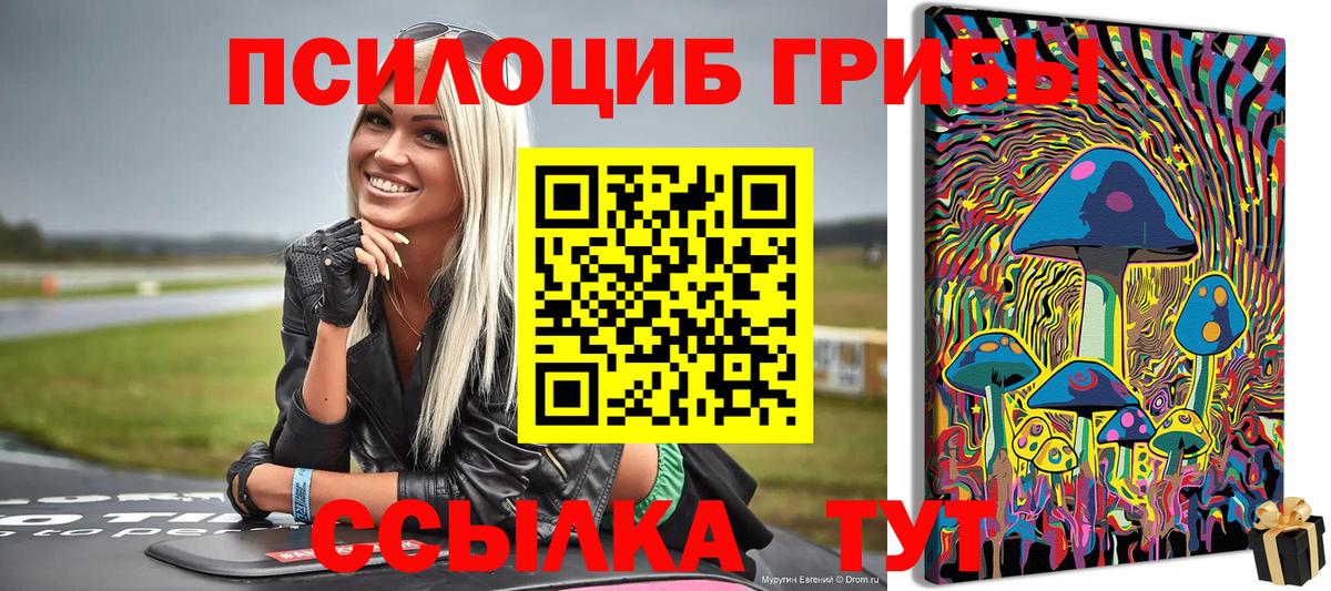 сколько стоит  Галлюциногенные грибы мухоморы  Галлюциногенные грибы Psilocybine cubensis  Вход с VPN  Вятские Поляны 